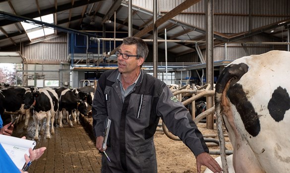 a man standing in a barn with cows